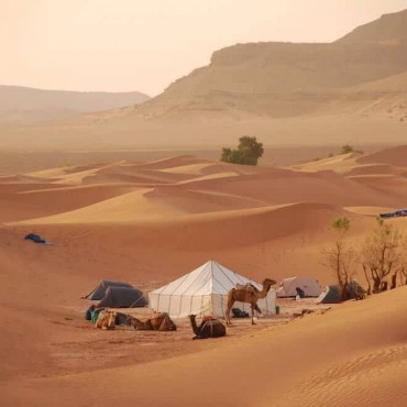 Excursion de 3 jours dans le désert